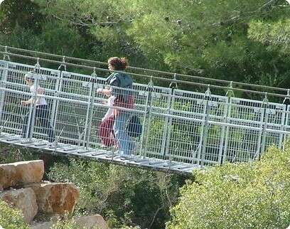 צילום: באדיבות קק''ל צילום: באדיבות קק''ל