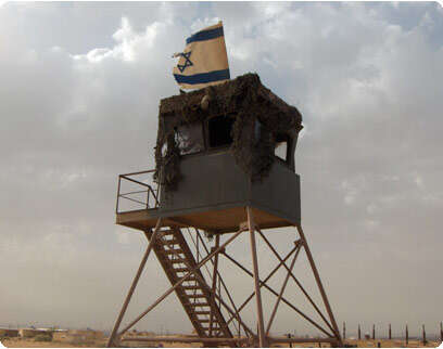 חגי דקל חגי דקל
