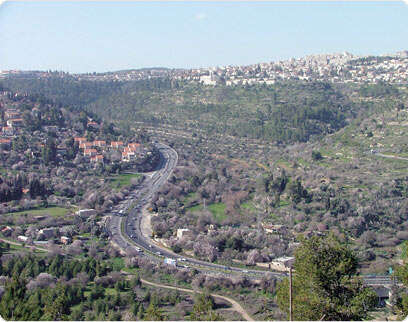צילום: דובי זכאי צילום: דובי זכאי