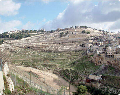 צילום: דובי זכאי צילום: דובי זכאי