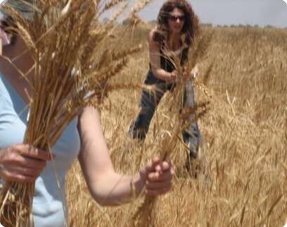 צילום: יח''צ צילום: יח''צ
