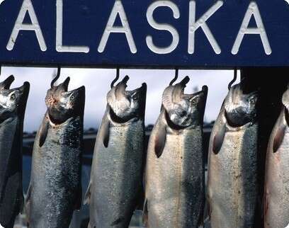 �����: ��� ����