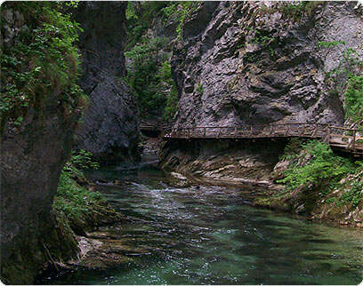  �����: ��� ��-��