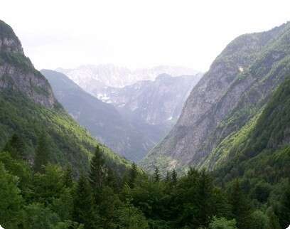 �����: ��� ��-��