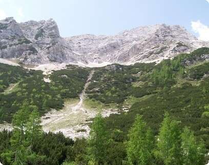 �����: ��� ��-��