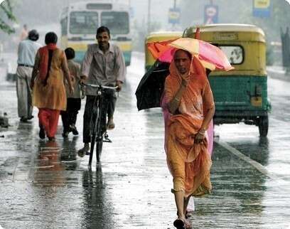 �����: ���. ��. ��