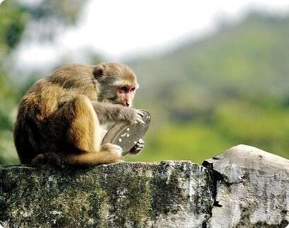 �����: ��������