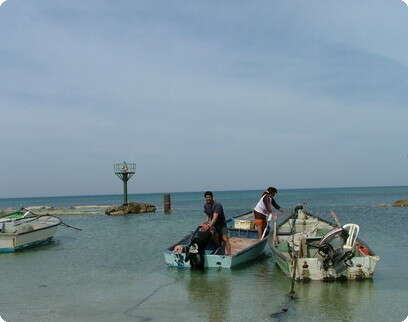 דובי זכאי דובי זכאי