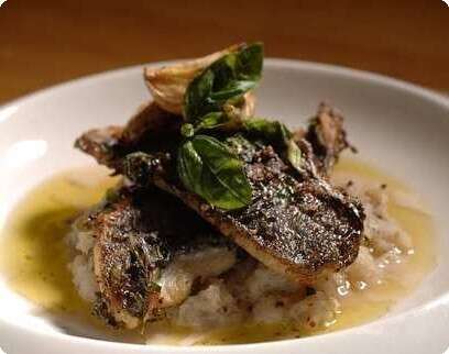 �����: ���� �����