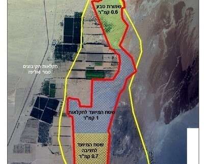 �����: ���� ����