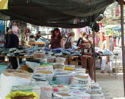 ���� ����