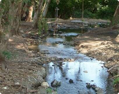 ���� ����