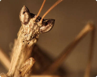 צילום: שלומי עמיצור צילום: שלומי עמיצור