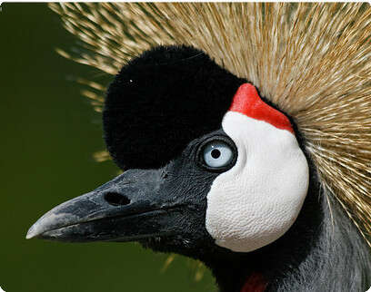 צילום: אייל פרידמן צילום: אייל פרידמן