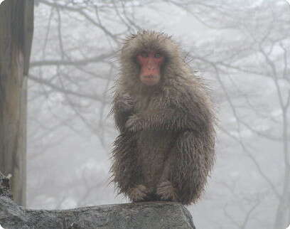 צילום: דרור לוי צילום: דרור לוי
