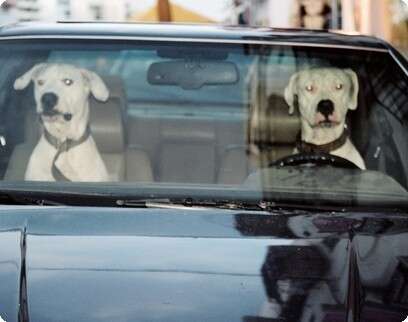 צילום: נועם אופיר צילום: נועם אופיר