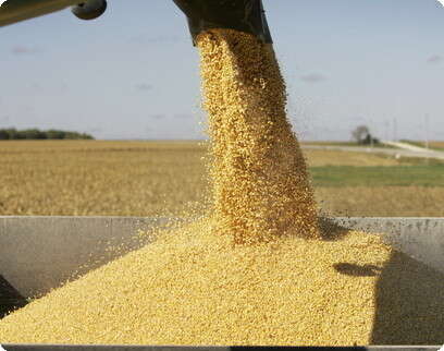 איי-פי איי-פי