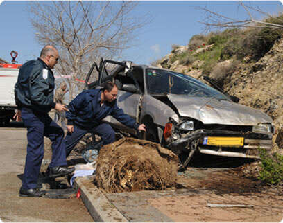 צילום: יגאל לוי צילום: יגאל לוי