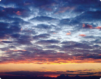 אלון סיגוי אלון סיגוי