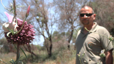 צילום: יוגב אטיאס ורויטרס; עריכה: ערן אבירם צילום: יוגב אטיאס ורויטרס; עריכה: ערן אבירם