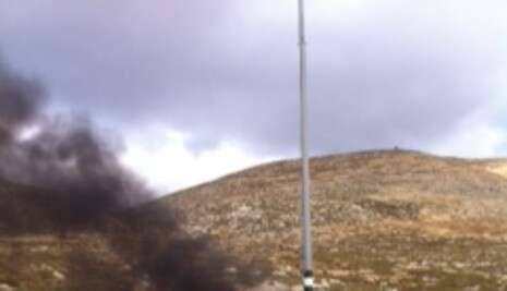 �����: ��� ������