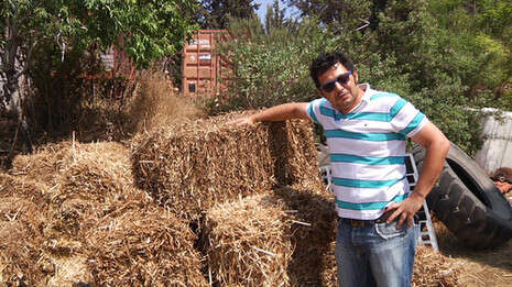 ���: ���� �����, �����: ���� ������ �����: ���� ������