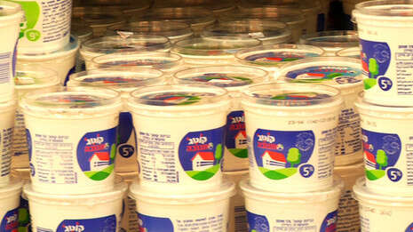 צילום: יוגב אטיאס ודודי ויזגאן. עריכה: תמי בנימין
כתבים: לאון פלדמן ואורי דוידוביץ' צילום: יוגב אטיאס ודודי ויזגאן. עריכה: תמי בנימין
כתבים: לאון פלדמן ואורי דוידוביץ'