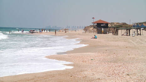 �����: ���� �����; �����: ��� ������