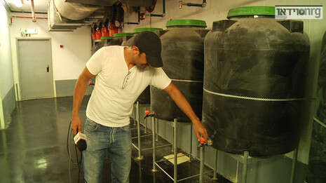 �����: ���� �����. �����: ��� ������