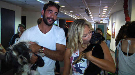 �����: ���� ��������'. �����: ���� ������