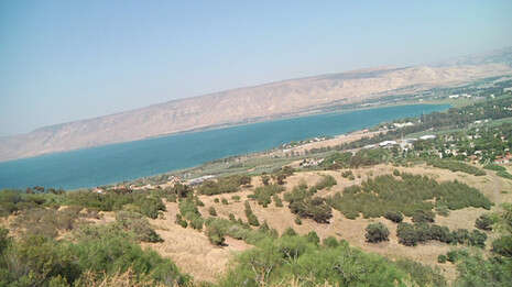 �����: ���� �����; �����: ��� �����