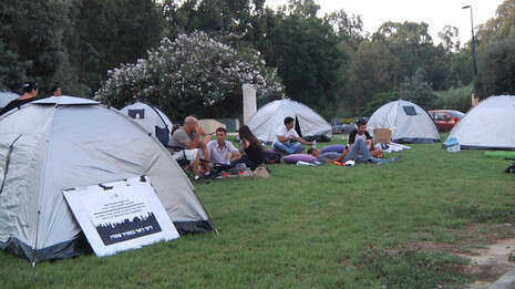 �����: ���� ������