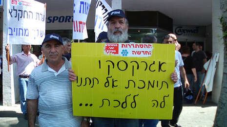 צילום: אורי דוידוביץ' צילום: אורי דוידוביץ'