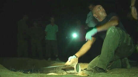 ���� ��� ����� ���� ������. �����: ������, �����: ���� ������