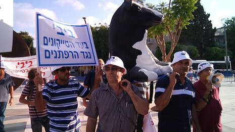 צילום:יוגב אטיאס צילום:יוגב אטיאס