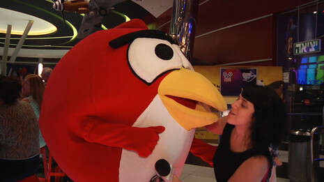 כתבת: תום יער
עריכה: תמי בנימין
צילום: דודי ויזגאן
כתבת: תום יער
עריכה: תמי בנימין
צילום: דודי ויזגאן