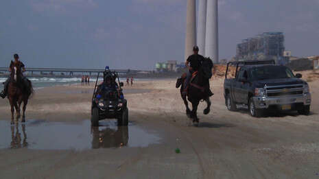 �����: ���� ��������' ���� ����; �����: ��� �����