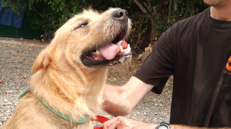 �����: ���� �����; �����: ��� �����