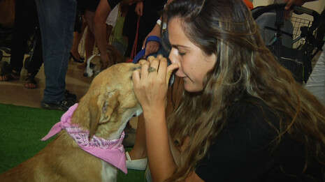 �����: ���� �����; �����: ��� ������