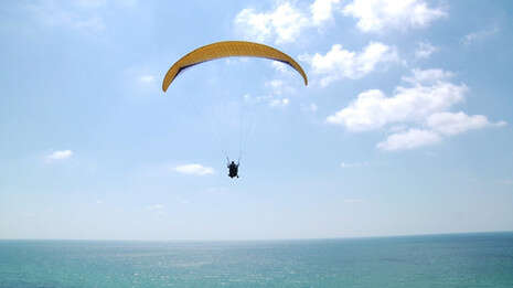 ���� ����: ���� ��������, �����: ��� �����