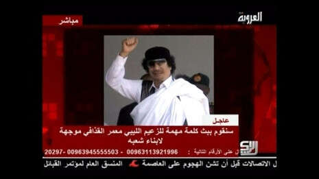 �����: ������, �����: ���� ������