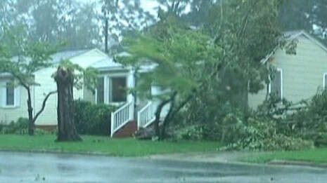 צילום: רויטרס, עריכה: ערן אבירם צילום: רויטרס, עריכה: ערן אבירם