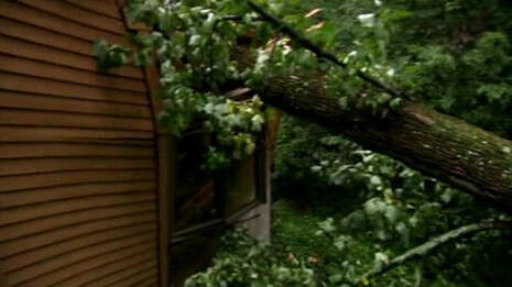 ���� ����� ����� ������ ��������. �����: ������; �����: ��� ������