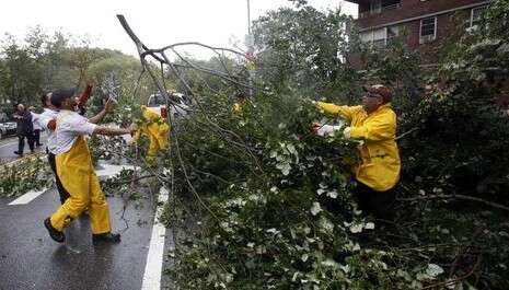 �����: ������, �����: ���� ������