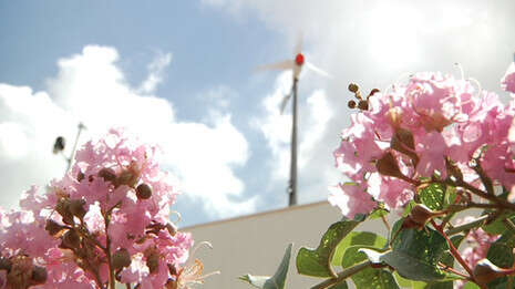 �����: ���� ������; �����: ��� ������ ���� �����