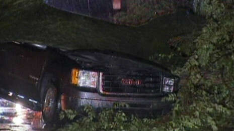 צילום: רויטרס צילום: רויטרס