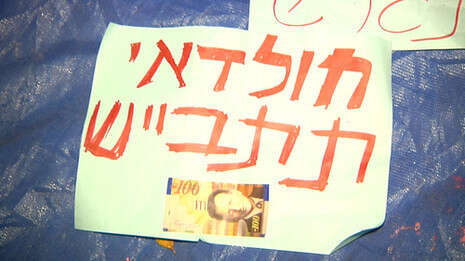 כתבת: מיכל הוכברג. צילום: יוגב אטיאס. עריכה: תמי בנימין.