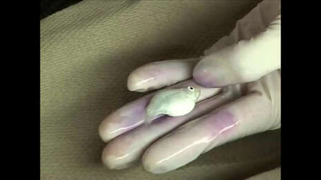 :    