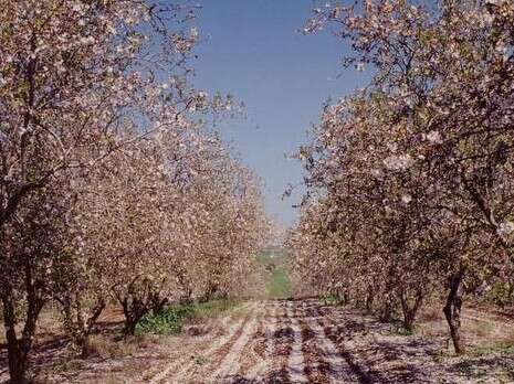 �����: ���� �����