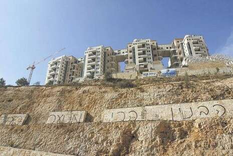 צילום : שימי נכטיילר צילום : שימי נכטיילר